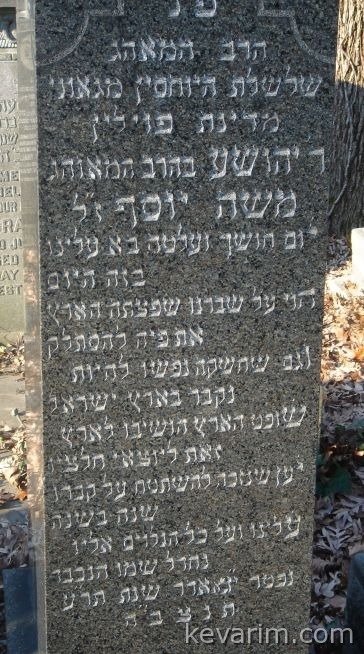 rav-seigel.jpg