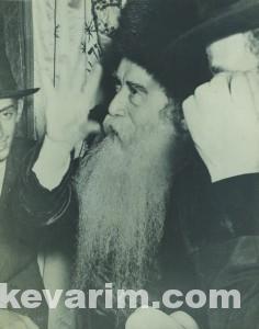 Perlow Yehuda Pic