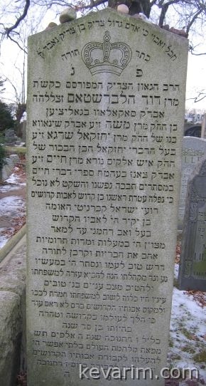 siniva-halber.jpg