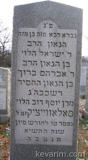 solovaitchik1.jpg