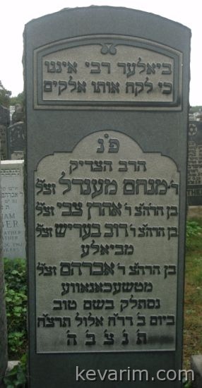 menachem-mendel-landau
