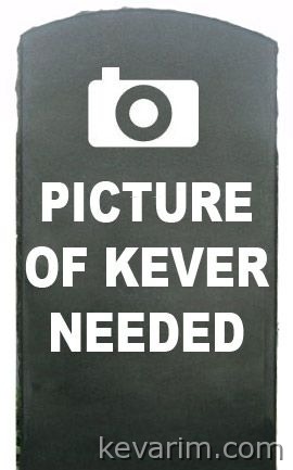 pic-kever-needed12