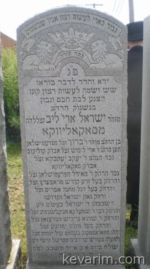 yisroel-aryeh-leib
