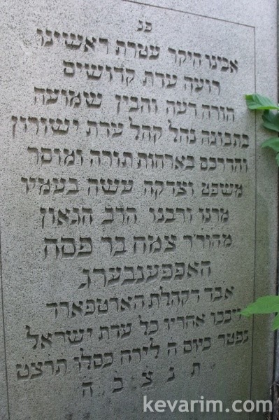 tzemach-hoffenberg tzemach-hoffenberg