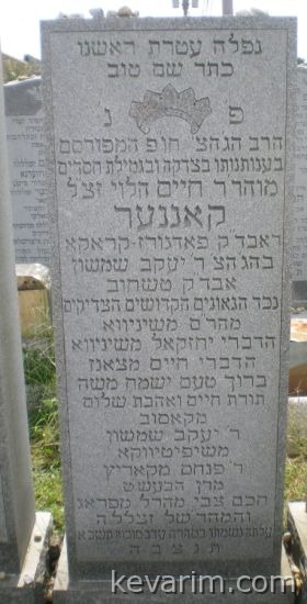 chaim-canner-wellwood chaim-canner-wellwood