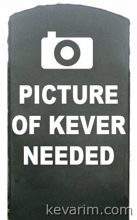 pic-kever-needed15