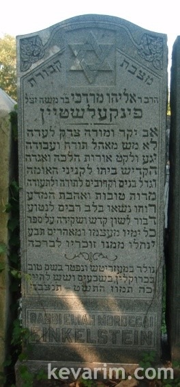 eliyahu-mordechai-finkelstein eliyahu-mordechai-finkelstein