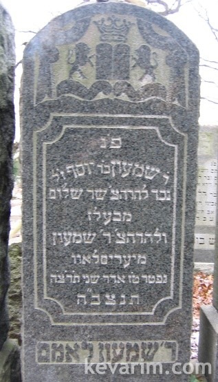 shimon-lamm