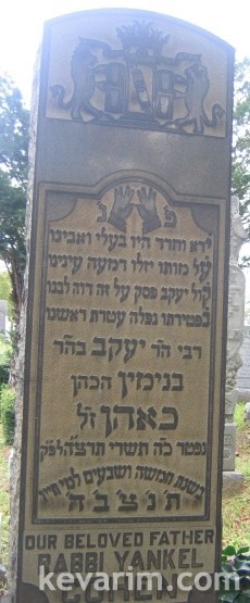 yankel-cohen yankel-cohen