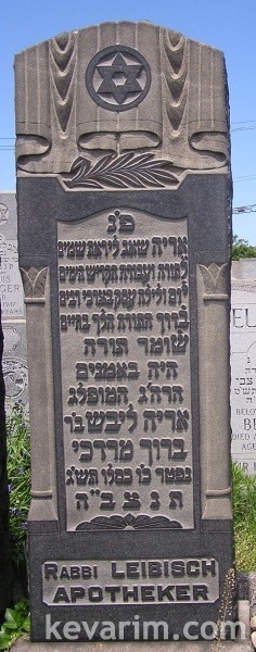 rabbi-aryeh-leib-apotheker rabbi-aryeh-leib-apotheker