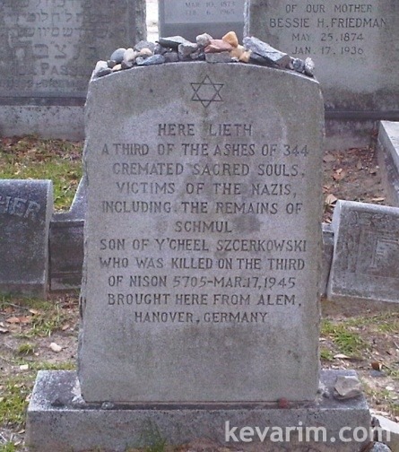 ashes-rezised ashes-rezised