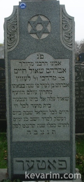 avroham-shaul-chaim-levine avroham-shaul-chaim-levine