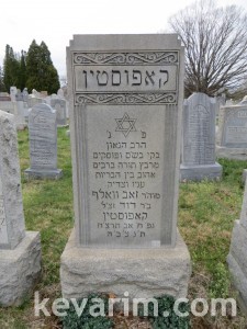 Zev Wolf Kapustin