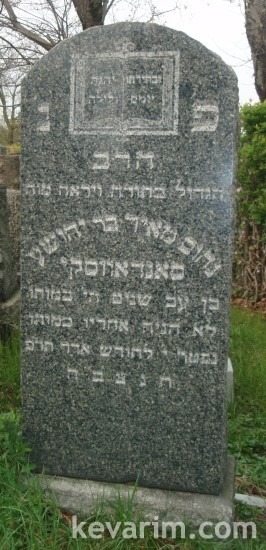 Rabbi Nachum Meir Sandowsky