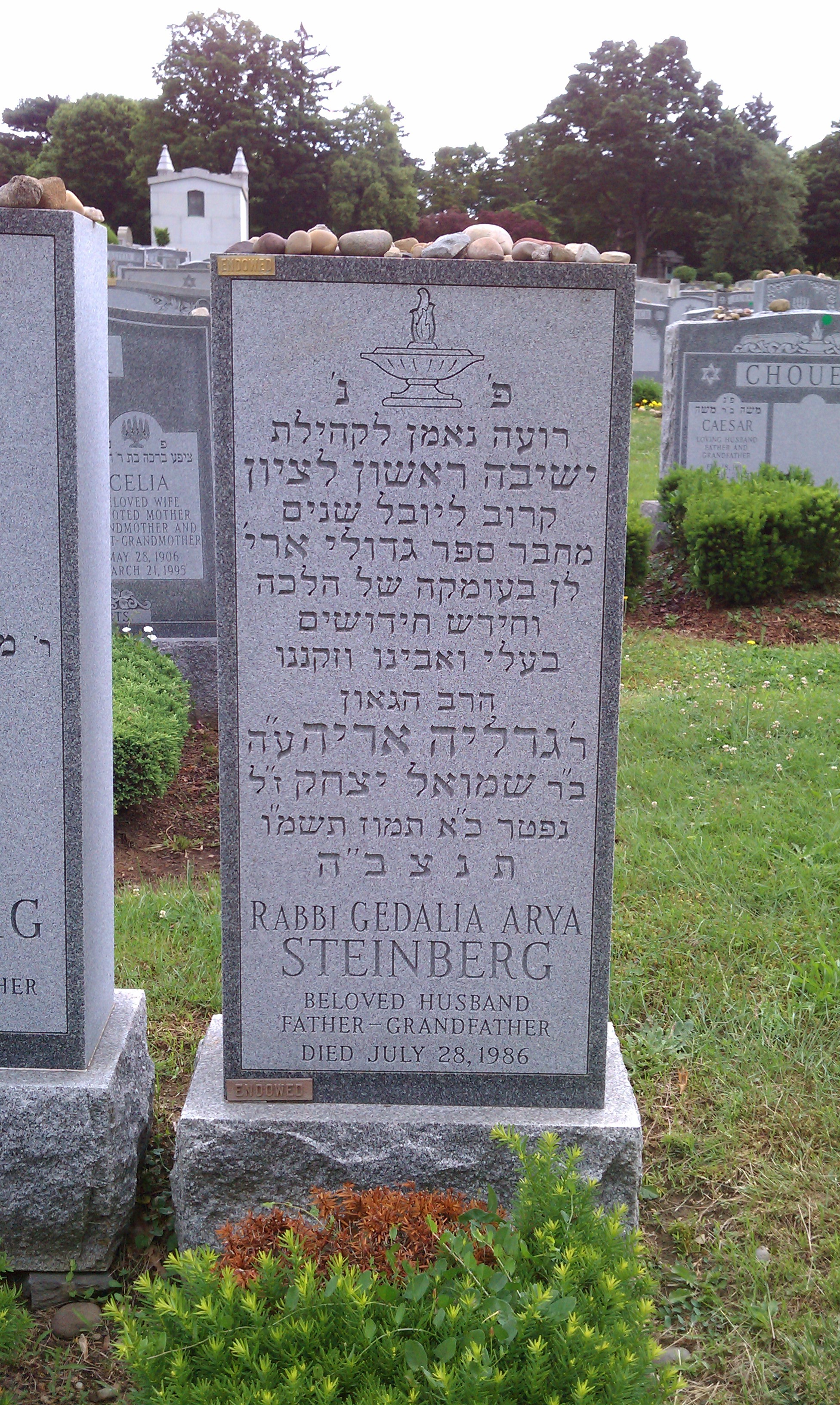 Rabbi Gedalya Aryeh Steinberg